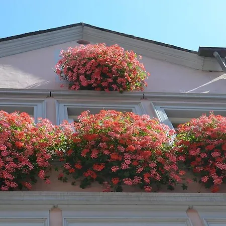 Mosel Röschen Ferienhaus
